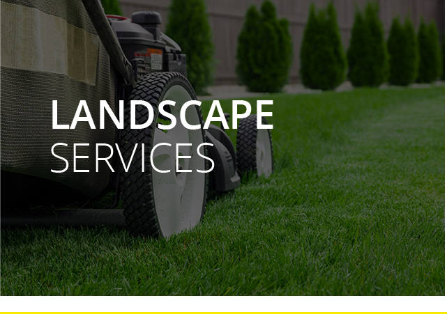 Landscaping